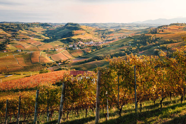Langheブドウ畑の丘の風景。秋の風景、美しい色。ドルチェット、ネビオーロ、バルベラ、バローロ赤ワイン。観光、旅行先。ブドウ栽培、ピエモンテ、イタリア、ユネスコ遺産 - 写真・画像
