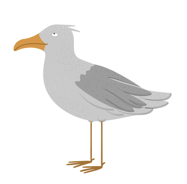 Vector illustration of funny seagull. Sea city bird picture isol - Vector, Image