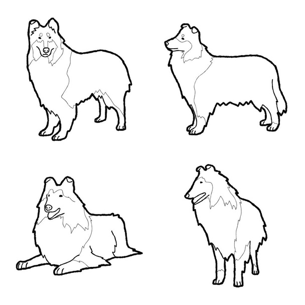 Collie Animal Vector Ilustración Dibujado a Mano Dibujos Animados
 - Vector, imagen