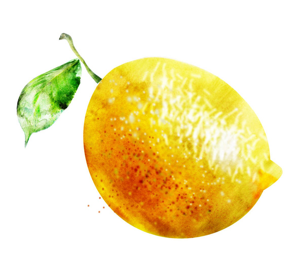 Watercolor lemon on white - Фото, изображение