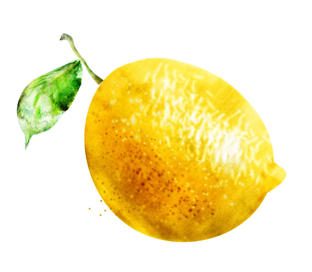 Watercolor lemon on white - Фото, изображение