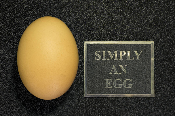 huevo sobre un fondo negro con un plato que dice "simplemente un huevo
" - Foto, imagen