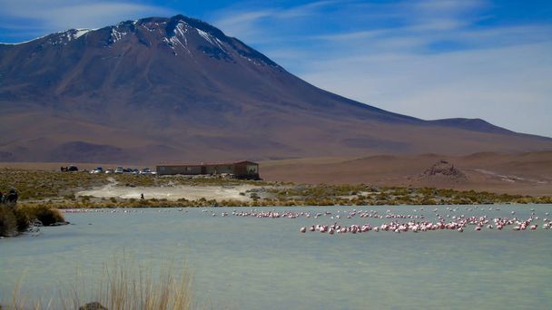 A Hedionda lagúna egy bolíviai sós vizes lagúna Potos megyében, a chilei határ közelében. - Fotó, kép
