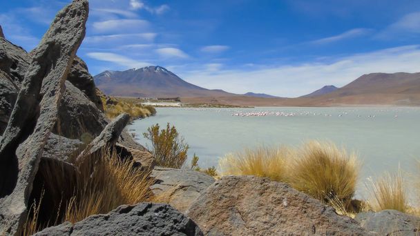 Hedionda lagoon) - болівійська лагуна солоної води, розташована в департаменті Потос, недалеко від кордону з Чилі. - Фото, зображення