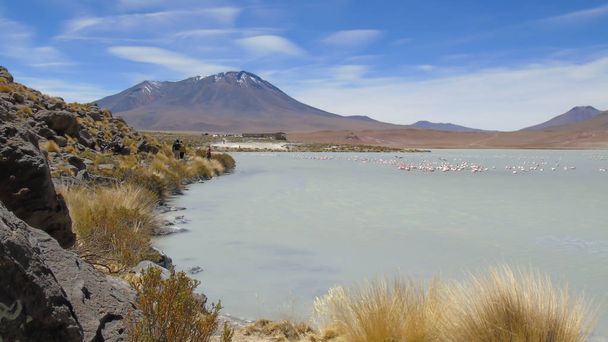 Hedionda lagoon) - болівійська лагуна солоної води, розташована в департаменті Потос, недалеко від кордону з Чилі. - Фото, зображення