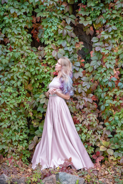 Mooi blond meisje met lang haar in een jurk poseren op een rug - Foto, afbeelding