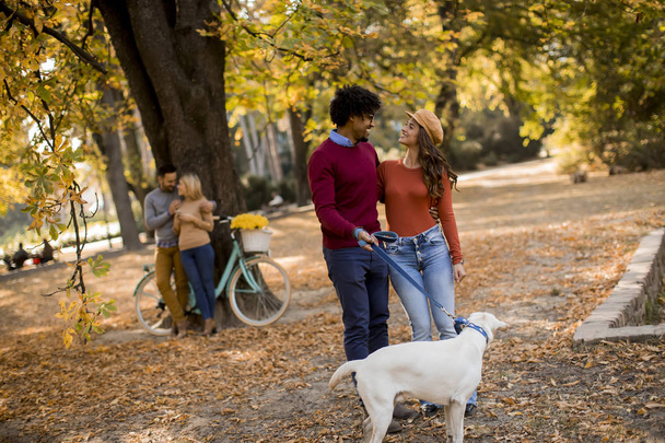 Multirazziale giovane coppia a piedi con cane nel parco autunnale
 - Foto, immagini