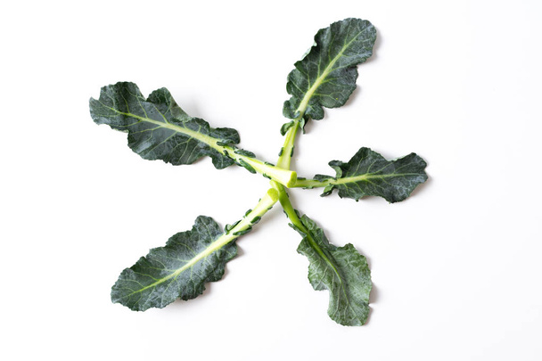 broccoli leaves isolated on white - Фото, изображение