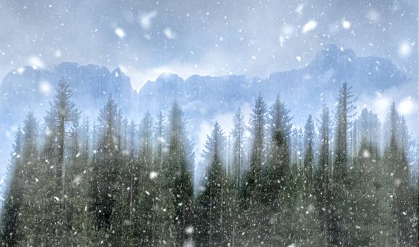 Hóvihar az erdőben a hegyekben - Fotó, kép