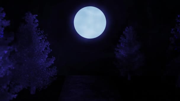 Widok kinowy w lesie nocnym. Niebieski odcień. Przemierzając drzewa drogą piaskową do księżyca. Pętlowa animacja tła dla tytułów lub logo - Materiał filmowy, wideo