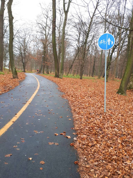 üres út az erdőben ősszel egy táblával - Fotó, kép