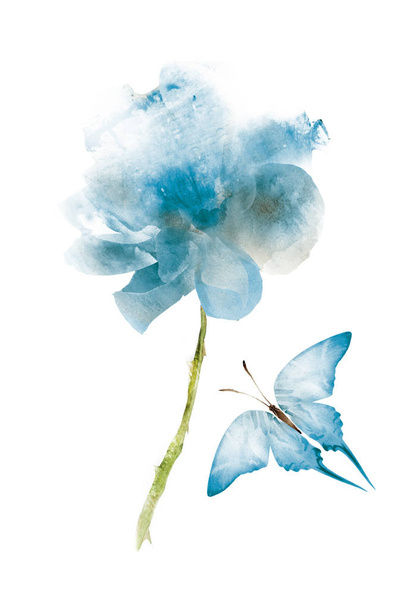 Watercolor flowers , isolated on white background - 写真・画像