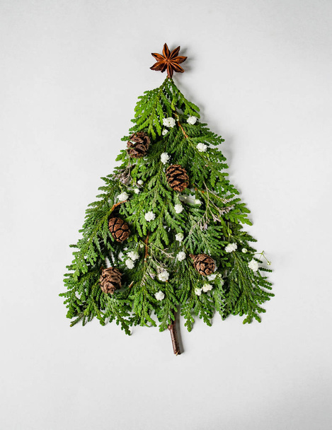 Christmas composition in shape of Christmas tree with branches of thuja, flowers and cones on white background. Flat lay - Photo, Image