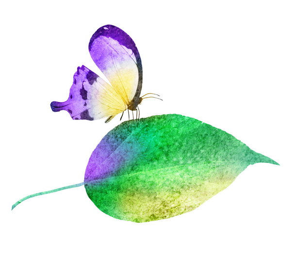 Watercolor leaf with butterfly on the white background - Zdjęcie, obraz