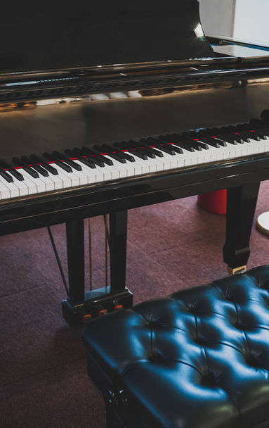 Datailní pohled royal grand piano kláves. - Fotografie, Obrázek
