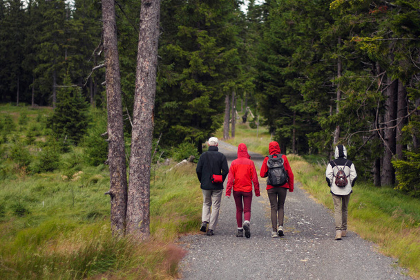 back view of a walking group of hikers on a path near a meadow in the forest - Foto, Bild