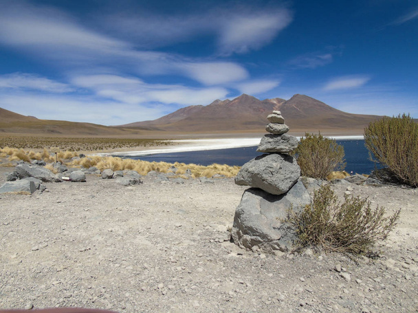 Caapa Lagoon) - болівійська солона лагуна, розташована в департаменті Потос. - Фото, зображення