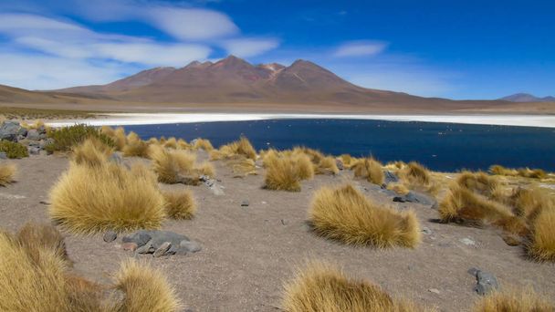 Caapa Lagoon) - болівійська солона лагуна, розташована в департаменті Потос. - Фото, зображення