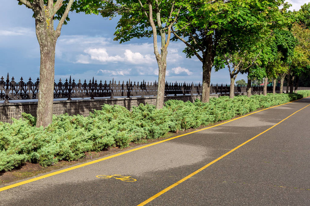ασφαλτοστρωμένο ποδηλατόδρομο με κίτρινα σημάδια και ένα σύμβολο ποδηλάτου στο πάρκο με θάμνους και δέντρα να φυτρώνουν στη σειρά στο βάθος ένας φράχτης και ο ουρανός με σύννεφα σε μια ηλιόλουστη μέρα. - Φωτογραφία, εικόνα