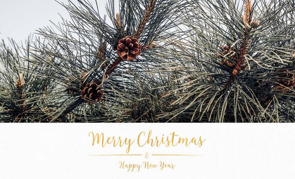 merry christmas and happy new year typo glitter text  white pape - Foto, Imagem