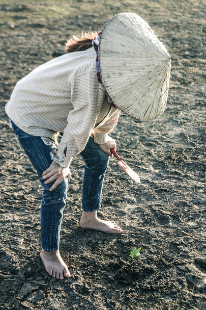 Женщина посадила дерево на засушливой земле в надежде на реко
 - Фото, изображение