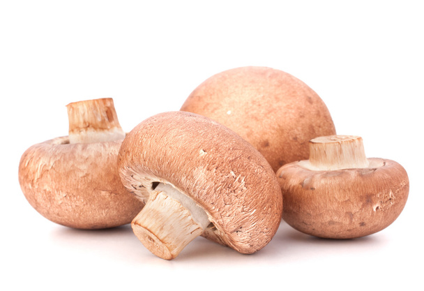 Brown champignon mushroom group - Photo, Image