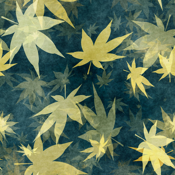 Autumn leaves - 写真・画像