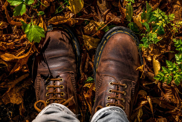 Boots and autumn leaves - Photo, Image
