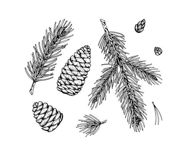 Set von Tannenbaum-Dekorelementen im Skizzenstil isoliert auf Weiß - Vektor, Bild