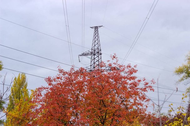 Torre de acero de la línea eléctrica sobre árboles con hojas de otoño
 - Foto, imagen
