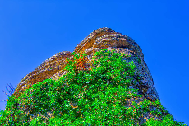 vert rocher de montagne brochet, fond bleu
 - Photo, image