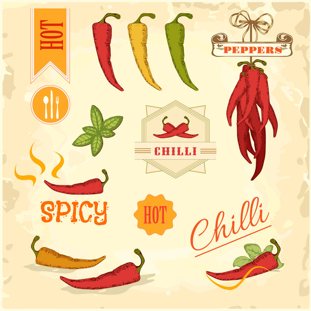chilli, chili, pepper vegetables, product label packaging design - Vector, Image