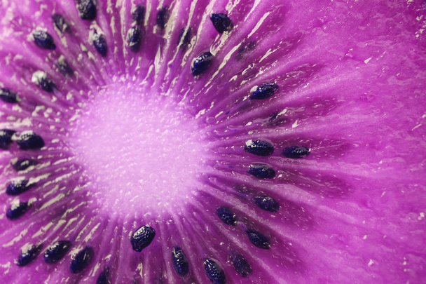 Doorsnede van Kiwi Fruit in levendige paarse kleur Toon voor achtergrond of banner - Foto, afbeelding