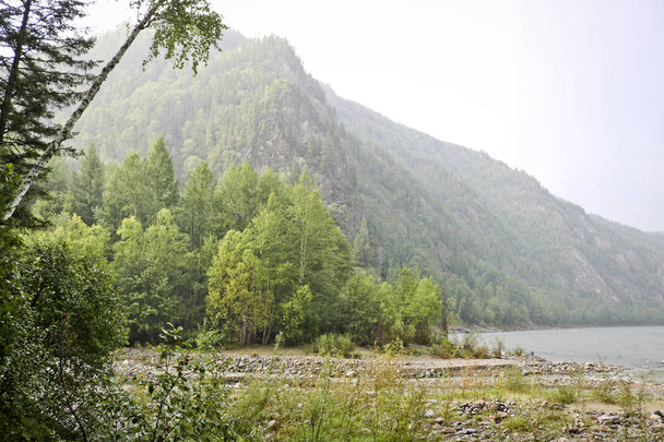 Górski krajobraz rzeki na Syberii - strumień górskiej rzeki biegnący latem między górami. Rzeka Oka Sayan, Saiyan Wschodni, Rosja. - Zdjęcie, obraz
