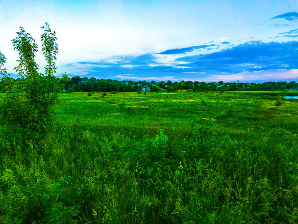 Abend Sonnenuntergang grüne Feld Hügel Landschaft - Foto, Bild