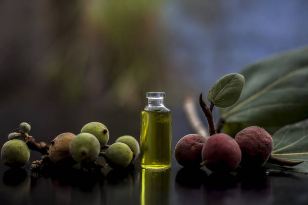 Close up shot of banyan tree fruit and its leaves on black glossy surface along with its extracted concentration essence in a small glass bottle. Horizontal shot. - Foto, afbeelding