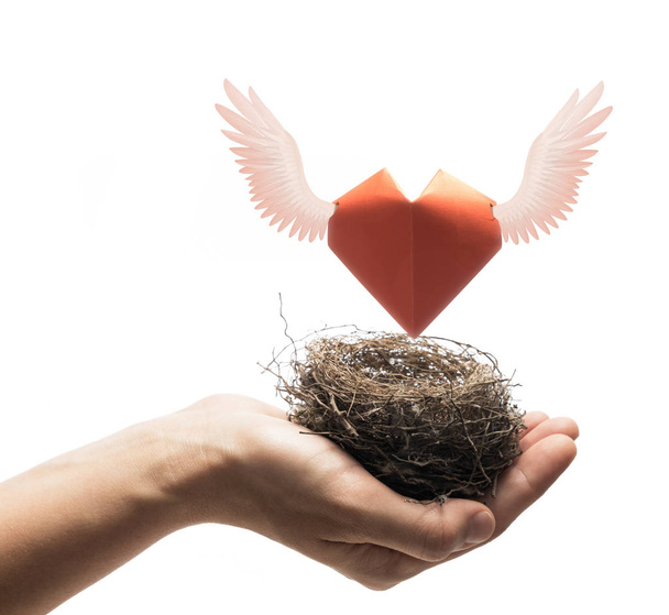 Bird nest with red heart in woman hand. Image on isolated white background. Concept of love,  marital bliss. Image. - Photo, Image
