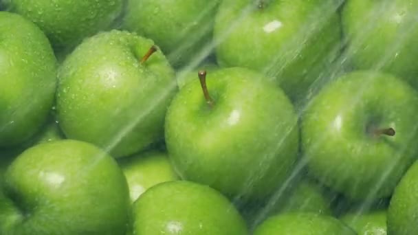 Washing Apples Pile Closeup Shot - Πλάνα, βίντεο