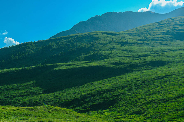 Yumuşak yeşil tepeler. Yeşil otlarla kaplı yumuşak yamaçlı çayırlar için dağ vadisi - Fotoğraf, Görsel