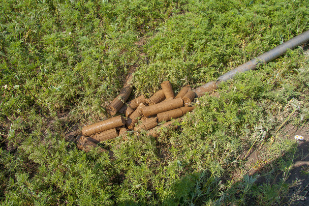 récupération de carottes pendant le forage
 - Photo, image