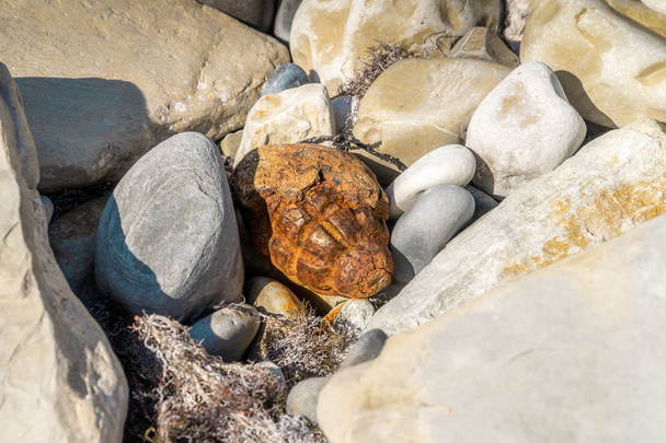 el viejo fuerte porzhavshaya del tiempo y la granada de agua f-1-accidental hallazgo en piedras en la playa tienen Gelendzhik
. - Foto, imagen