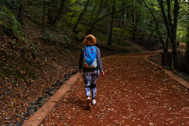 junge Frau, die im Wald spaziert. Abenteuerstil. Herbstfarben.  - Foto, Bild