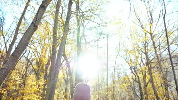 gelukkig jong vrouw het hebben van plezier en gooien geel bladeren in de herfst bos - Video
