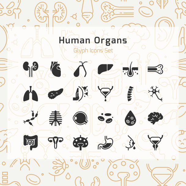 Set of vector icons of internal human organs in a linear style isolated. - Vector, Image
