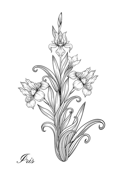 Iris flower, fleur-de-lis - Vettoriali, immagini