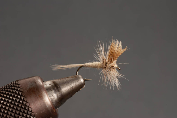 Nahaufnahme einer leichten Cahill-Fliege am Haken - Foto, Bild