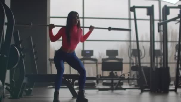 Girl squats with barbell in gym - Footage, Video