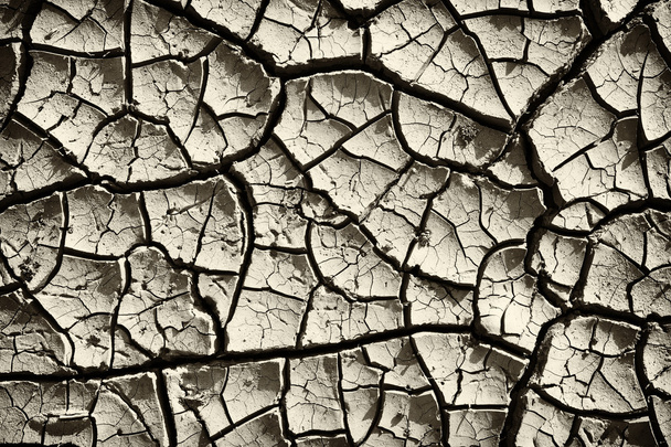 Cracked clay ground into the dry summer season - Photo, Image