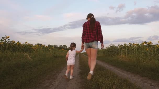 Malá holčička se svou matkou kráčí přes pole se slunečnicí. Zemědělství. Dítě a matka na poli se žlutými slunečnicovými semínky - Záběry, video
