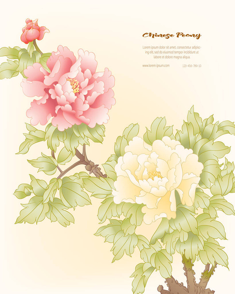 Zweig der Pfingstrose mit Blumen - Vektor, Bild